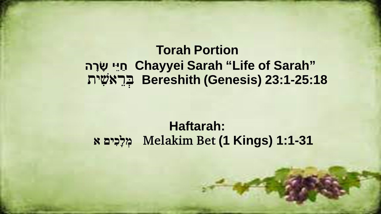 Torah Portion Chayyei Sarai 111321