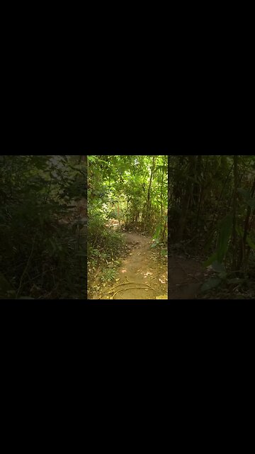 Hiking day. 😆😆😆😍 #hiking #nature #beautiful #park