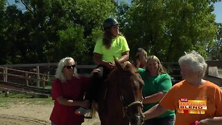 The Healing Power of Horses