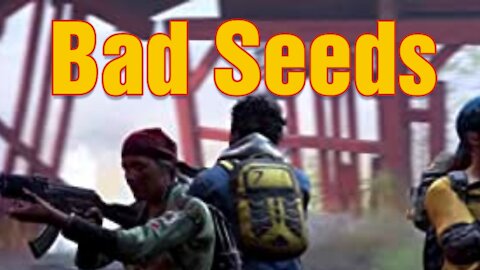 Bad Seeds Indeed