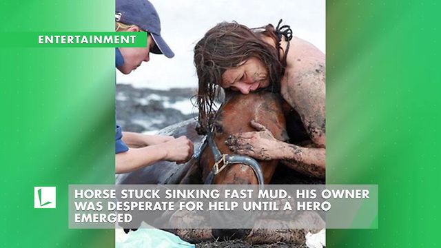 Horse Stuck Sinking Fast Mud. His Owner Was Desperate For Help Until A Hero Emerged