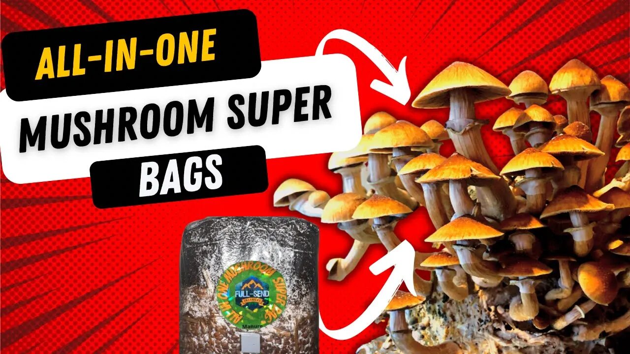 Mycology tips and tricks to take your mushroom cultivation process to the next level!!