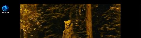 Infiltrating Bohemian Grove in 2024 "Pay Close Attention to What You SEE here"