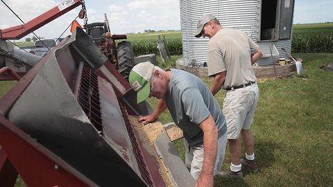 USDA To Buy $1.2 Billion In American Crops To Offset Tariffs' Impact