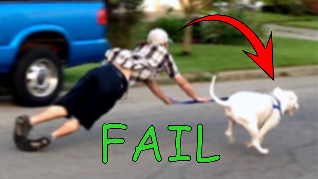 FUNNY FAIL ANIMAL VIDEO #1