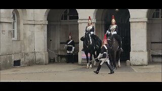 Horse plays up on the change over #horseguardsparade