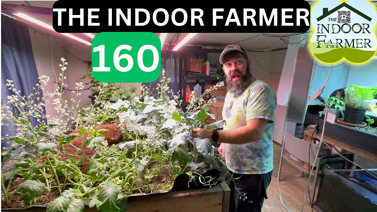 The Indoor Farmer ep 160, It's Alive!!