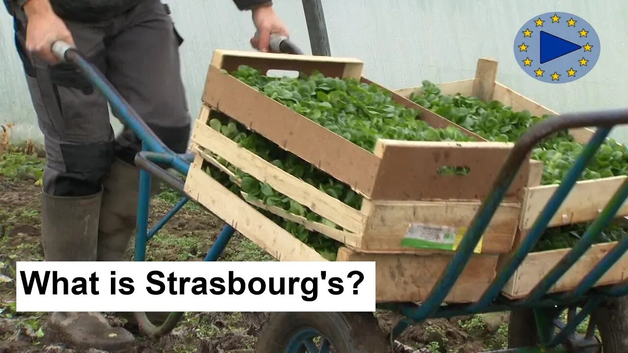 🇪🇺 Farm to Fork Strategy: Local Farming, Dairy Production & Poultry Farming in Strasbourg, France 🇪🇺