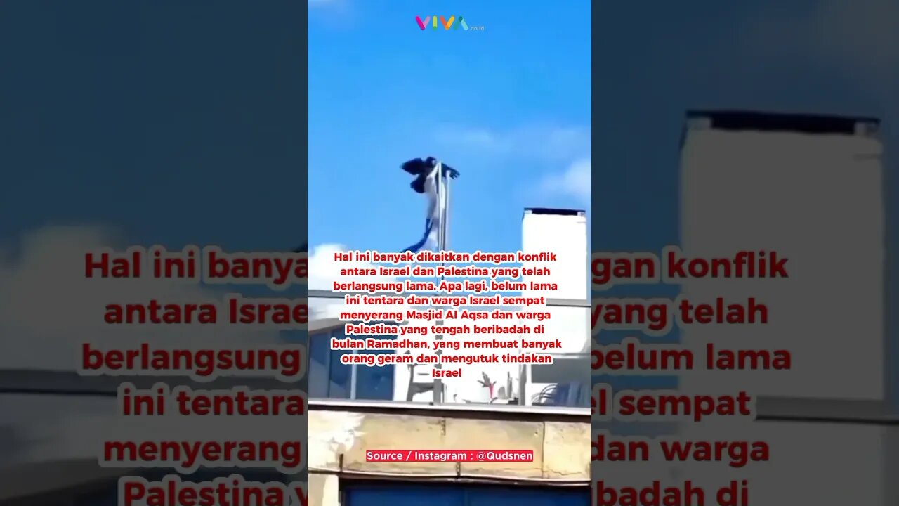 Seekor Burung Gagak Robek Bendera Israel #viral #viralvideo #viralshort #israel #palestine #gaza