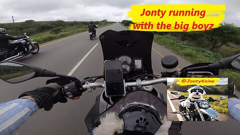 Jonty running with the big boyz #jonty_k9 #biker