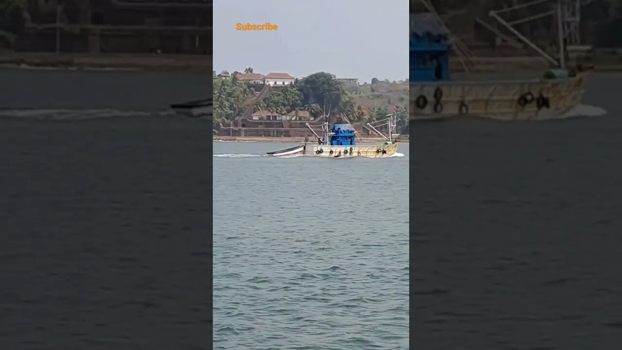 Goan 🌊 seas full of 🐟 fishes #viral #youtubeshorts #shortvideo #shorts #netfishing #goa #trawler