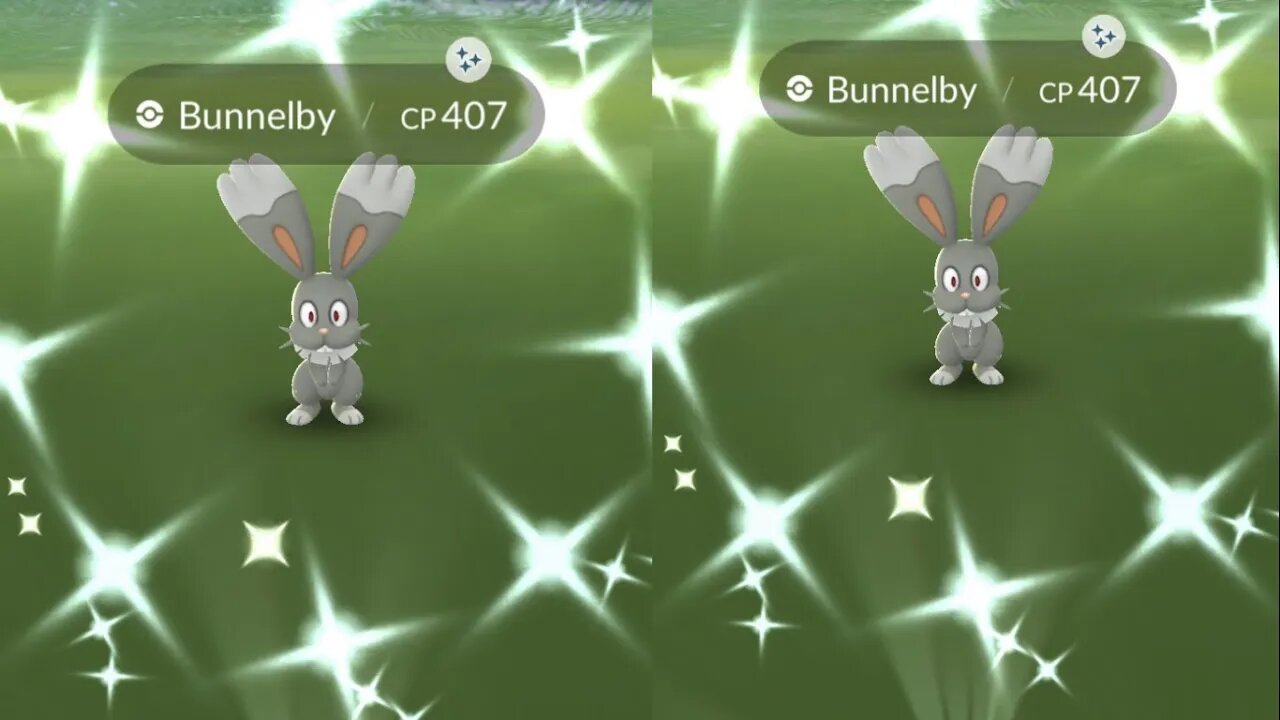 My Reaction to Shiny Bunnelby