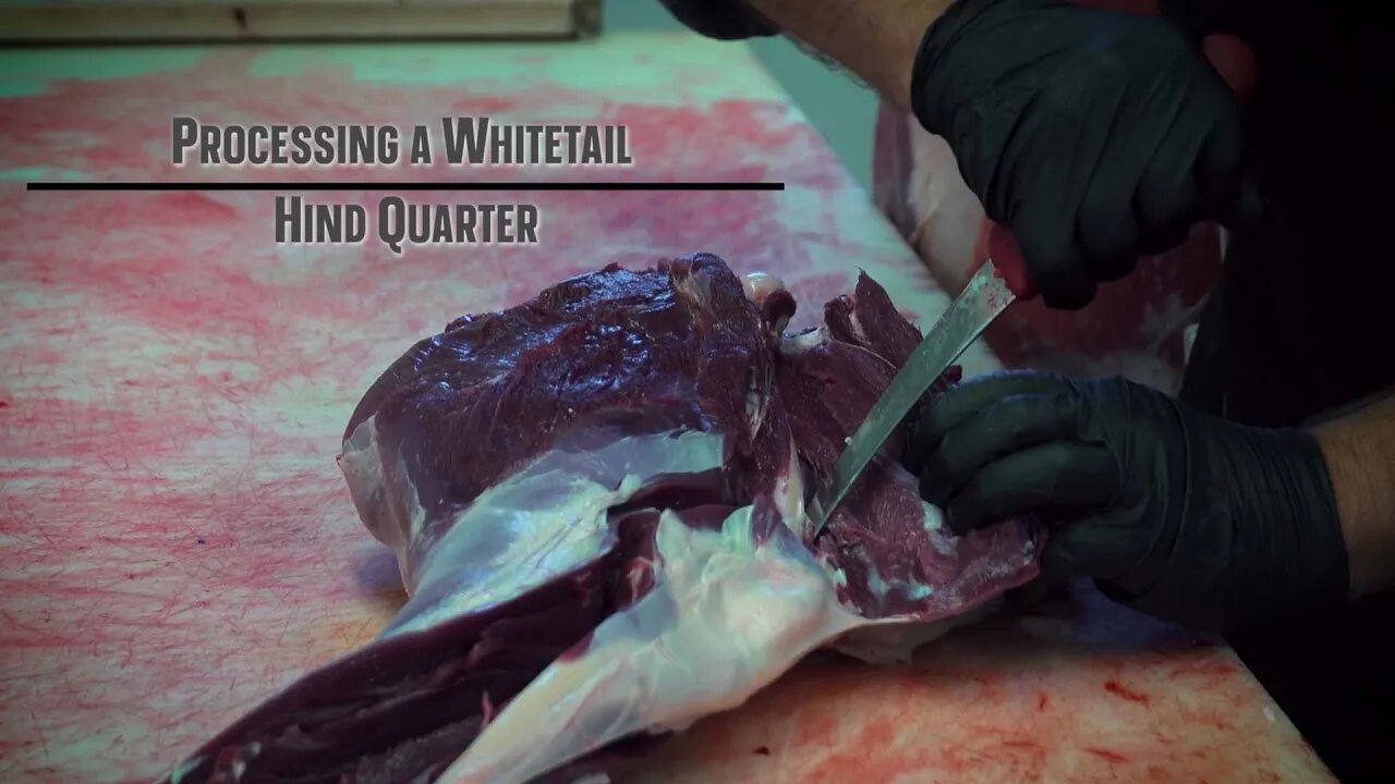 How to Remove and Break Down a Deer Hindquarter