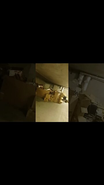 old boxes made me 1 million dollars