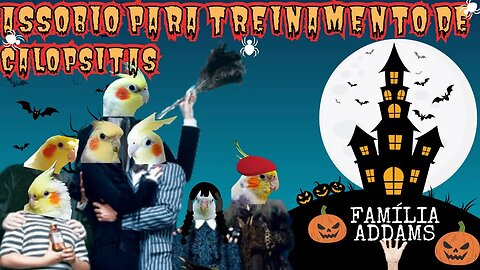 ASSOBIO PARA TREINAMENTO DE CALOPSITAS TRILHA DO FILME FAMÍLIA ADDAMS - cockatiel whistle