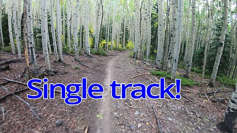 Singletrack