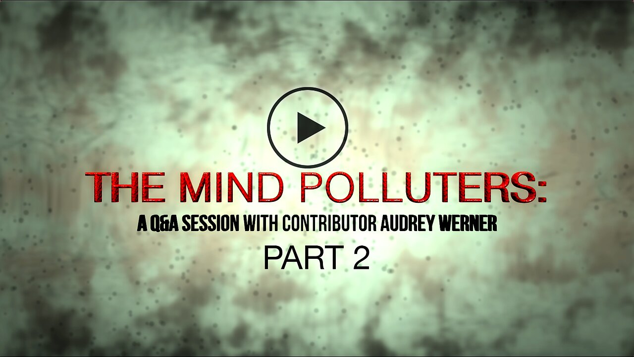 "The Mind Polluters:" A Q&A Session with contributor Audrey Werner PART 2