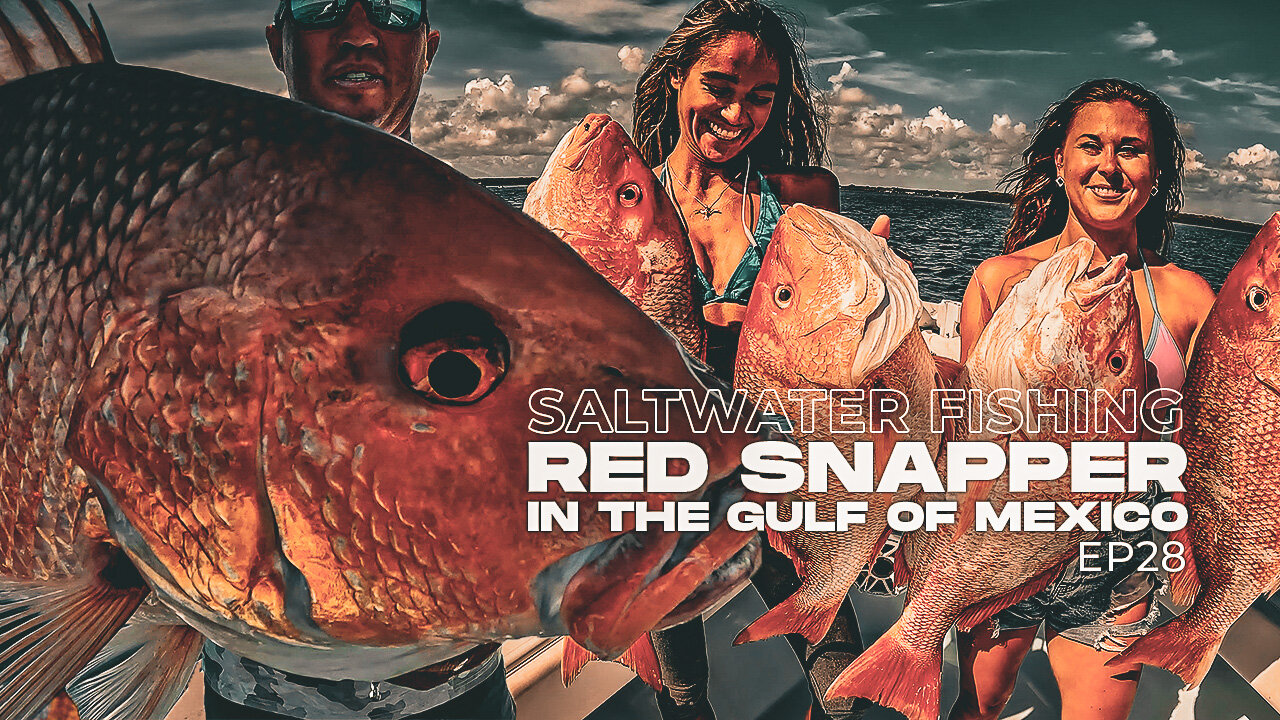 Saltwater Fishing Red Snapper: Bottom Fishing in the Gulf of Mexico| Landed Fishing EP28