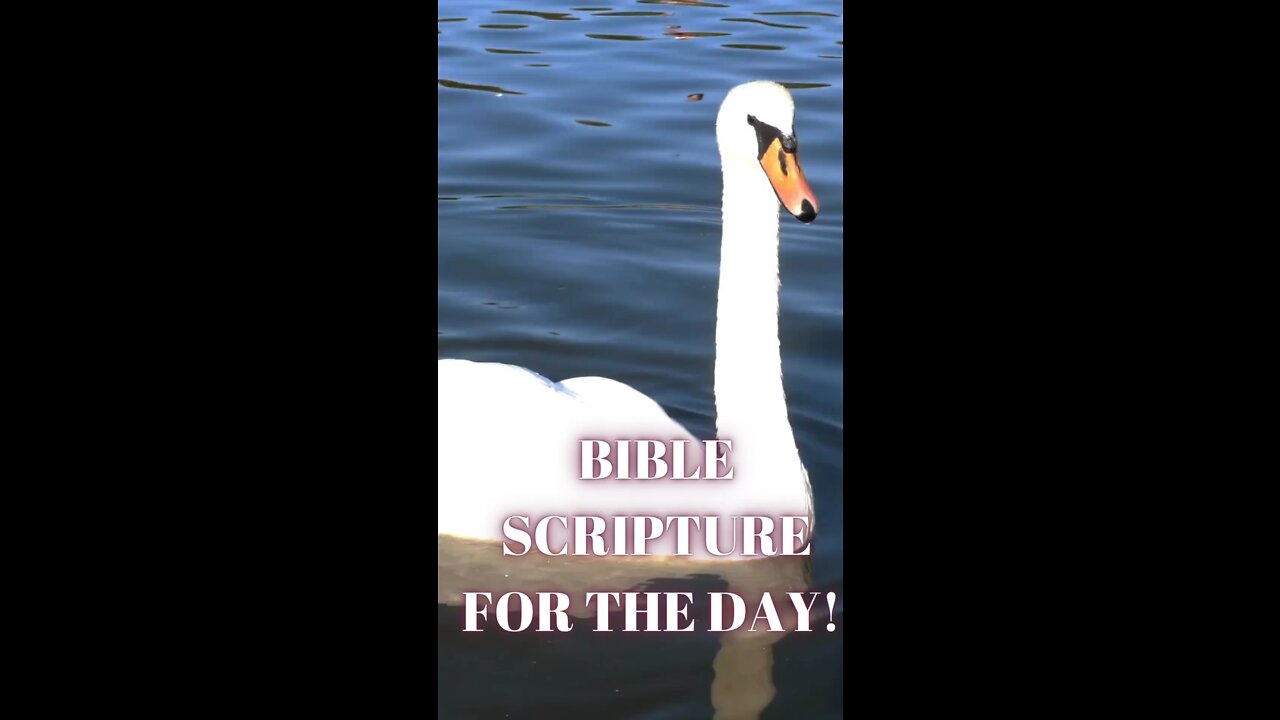 Bible Scripture for the Day!
