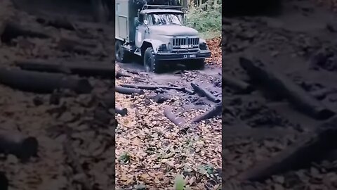 Ukrainian truck #shorts