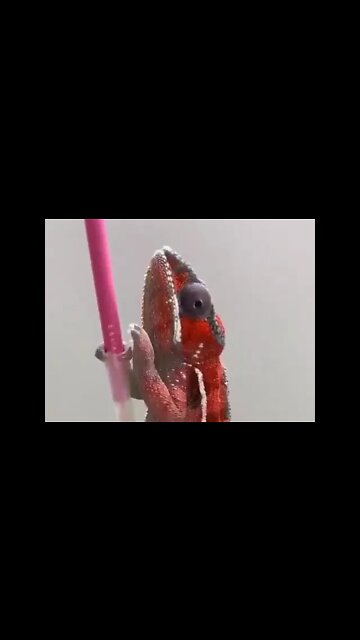 jews as they move from country to country