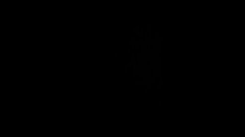 How to pronounce what is the woman?