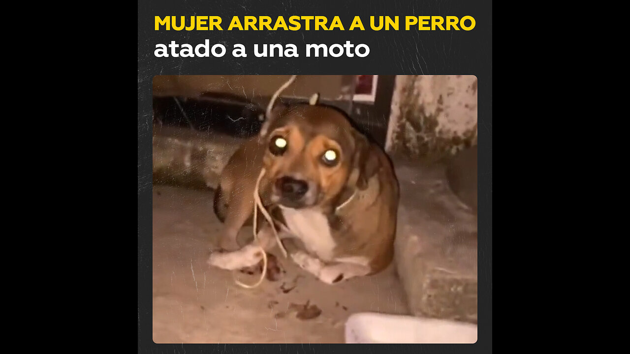 😢Una motociclista arrastra a una perrita por calles de México