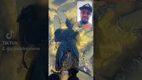 Será que dá Pará pescar ??