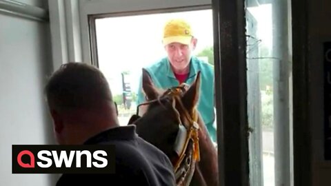 Man rides a horse into a UK pub - sending him and his pint flying
