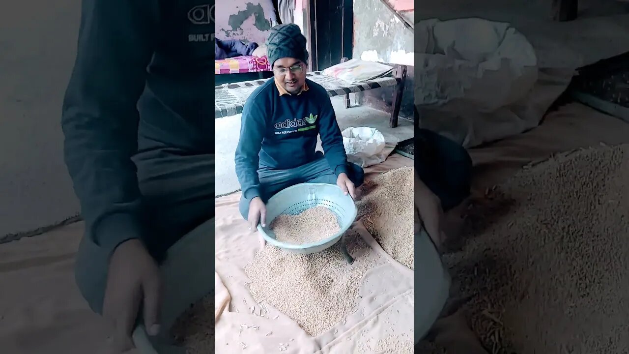 Desi Balak Gamma ke hm #shorts #minivlog