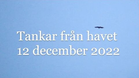 Tankar från havet 12 december 2022