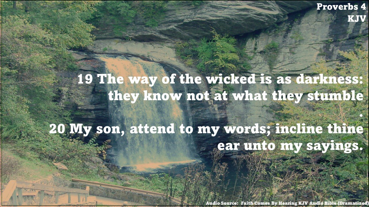 Proverbs 4 - A Father’s Wise Advice