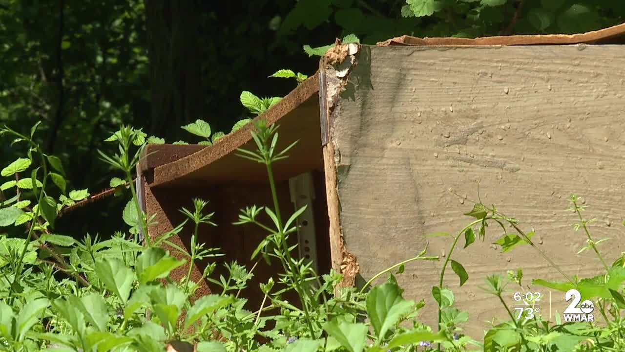 Neighbors concerned about illegal dumping in the Rosemont neighborhood