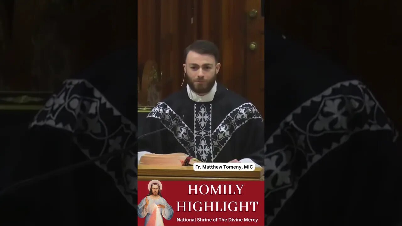 St. Stanislaus walked through a table? Prayers for souls in purgatory #homily #homilyhighlight