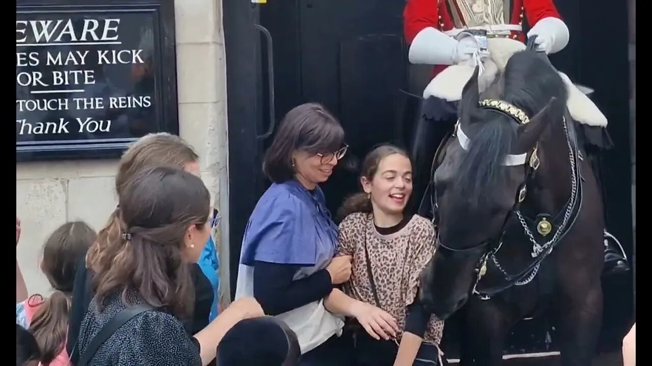 Tourist storms off after other tourist is almost bitten #horseguardsparade