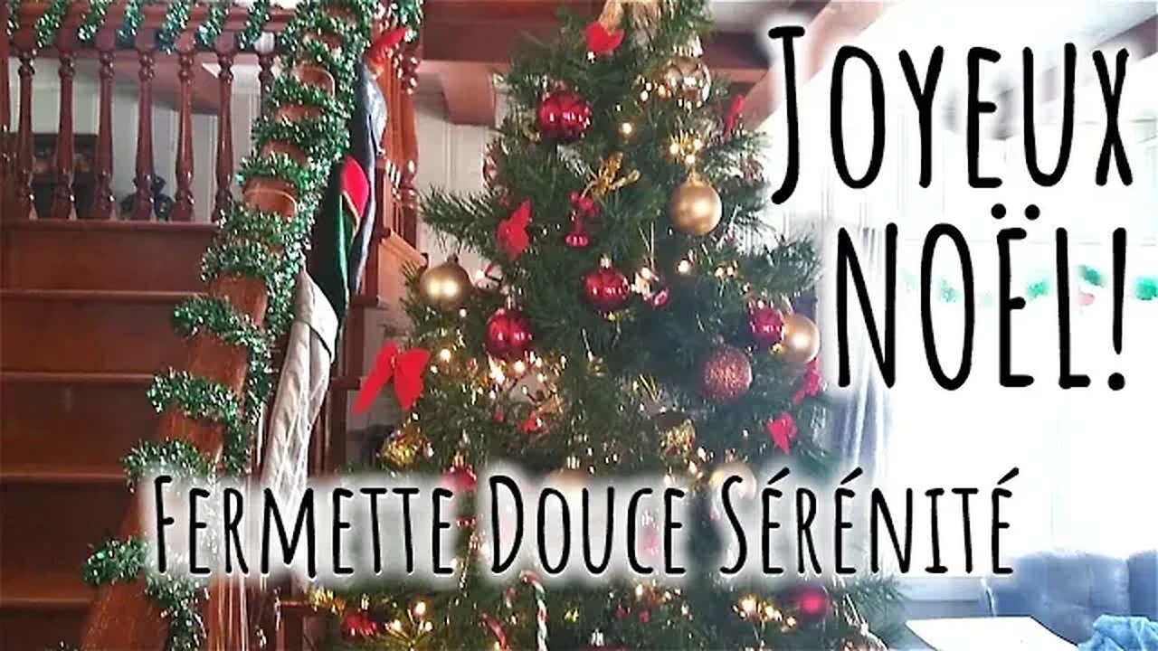 🎄 Joyeux Noël les autonomistes! 🎅 #293