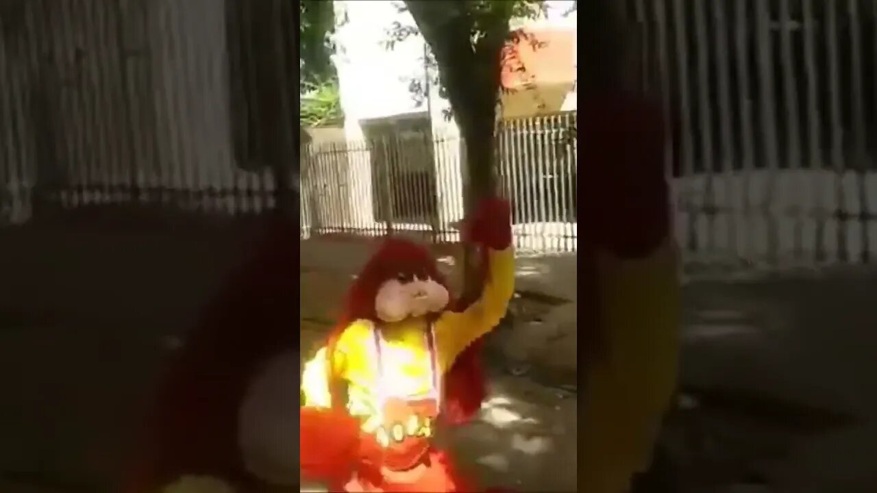 SUPER PULOS NINJAS DO FOFÃO, O MÁSKARA, PATATI E BEN10 DANÇANDO NA CARRETA DA ALEGRIA FURACÃO