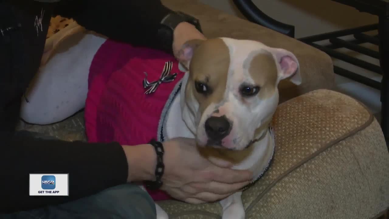 Appleton man's dog alerted him of an elderly neighbor in need of help