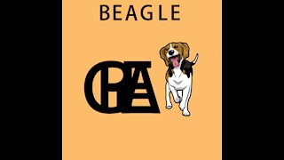 Beagle Logo Design - Do You Like It?