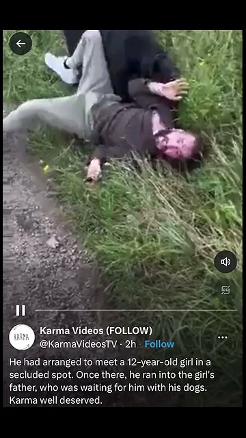 pedophile meets dogs and instant karma instead of child