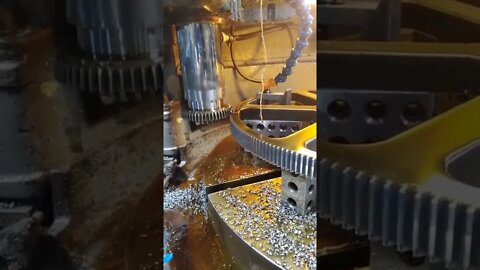 Amazing Videos for entertainment(2)