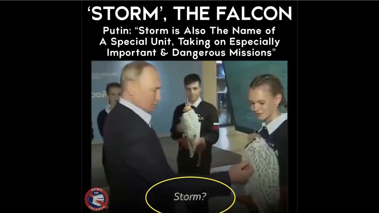 Putin Names Falcon STORM After “UNIT IN THE SPECIAL MILITARY OPERATION.”