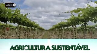 Agricultura Sustentável: Com Frederico Olivi