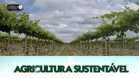 Agricultura Sustentável: Com Frederico Olivi