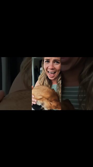 Dog Singing to Adele