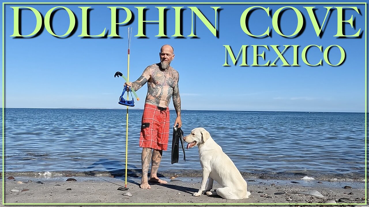 Dolphin Cove Baja Mexico