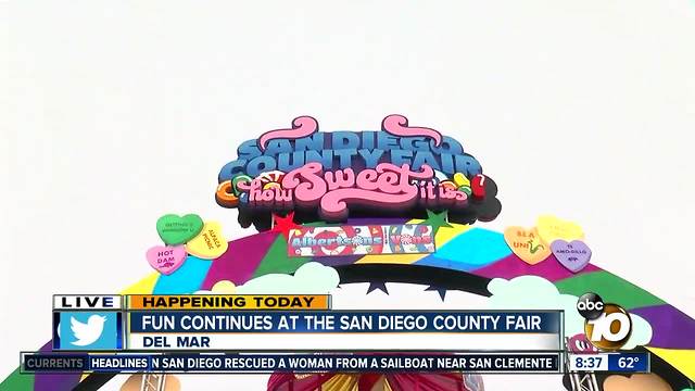 First weekend of the San Diego County Fair
