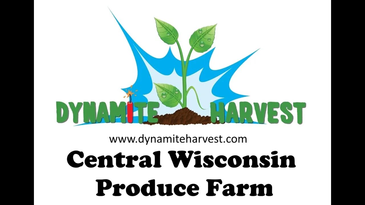 Dynamite Harvest Central Wisconsin Produce Farm