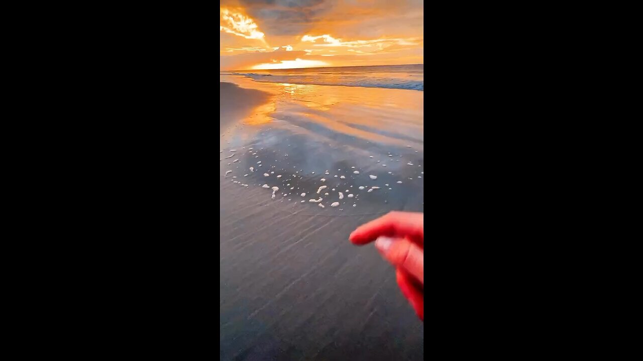 Beautiful view