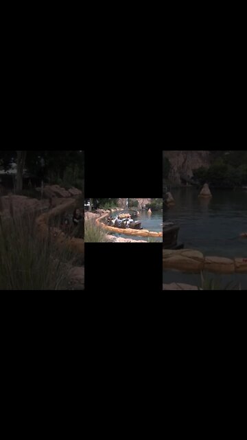 #Shorts ITS THE WILD WILD WEST